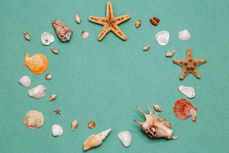 flat lay travel, a beautiful background of many small shells and starfish on a textured paper...