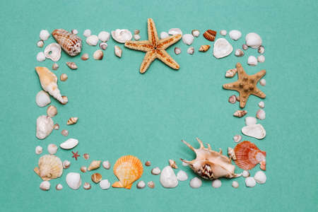 flat lay travel, a beautiful background of many small shells and starfish on a textured paper background with a copy of the spaceの写真素材