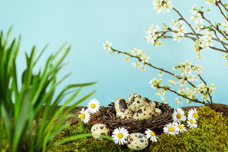 Easter decorative composition with painted eggs, flowering branchesの写真素材