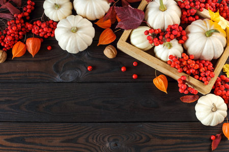 Autumn or Thanksgiving. white decorative pumpkins, autumn leaves and berries of red mountain ash on...