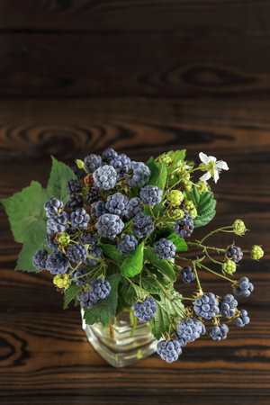 A bouquet of blackberry twigs in a container on a dark wooden background. Blackberry berries on the branches. vertical arrangementの写真素材