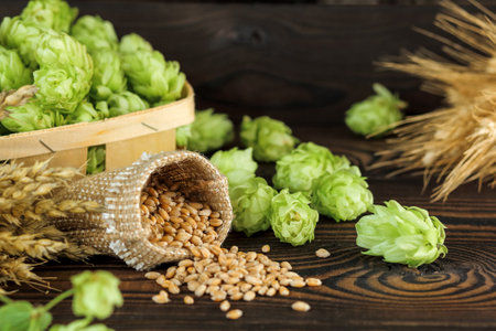 Hop cones and wheat grains, brewing ingredients on a dark wooden background