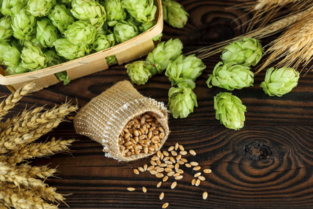 Hop cones and wheat grains, brewing ingredients on a dark wooden backgroundの写真素材