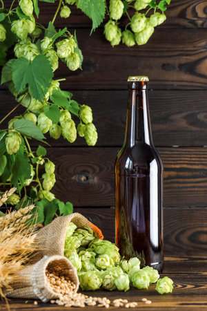 Cold beer in a glass bottle, with hop cones and wheat ears on a wooden background, vertical arrangementの写真素材