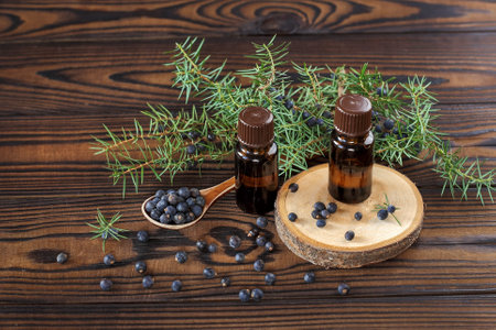 Fresh purple organic juniper berries in a wooden spoon and a bottle of oil on a wooden backgroundの写真素材