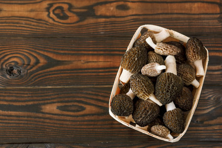 fresh morel mushrooms in a tray on a dark wooden background with a copy of the space
