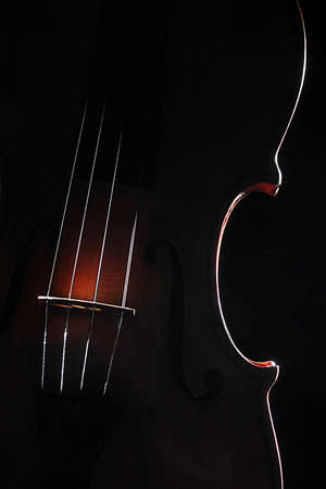 Violin music silhouette on black backgroundの写真素材
