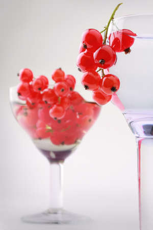 Red currant in the wineglass still-life. Fresh beverage with berryの写真素材