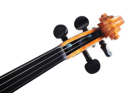 Violin scroll music instruments orchestra isolated on whiteの写真素材