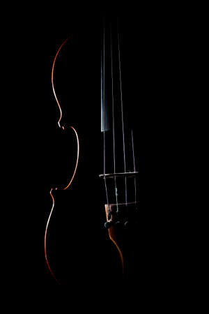 Violin orchestra musical instruments isolated on blackの写真素材