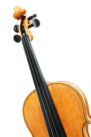Violin isolated on white closeup orchestra musical instrumentsの写真素材