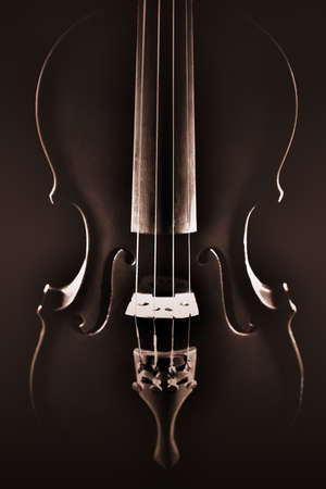 Violin closeup orchestra musical instruments on black classical musicの写真素材
