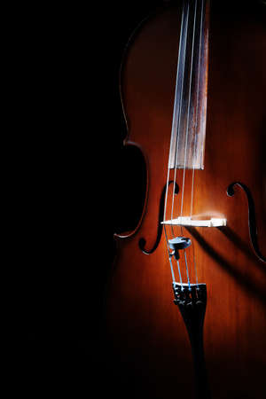 Cello classical music instruments violoncello isolated on blackの写真素材