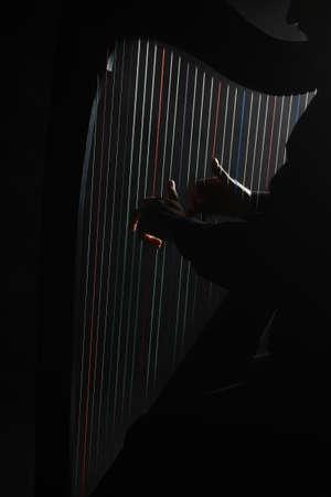 Harp player Irish harpist hands playing musical instrumentsの写真素材