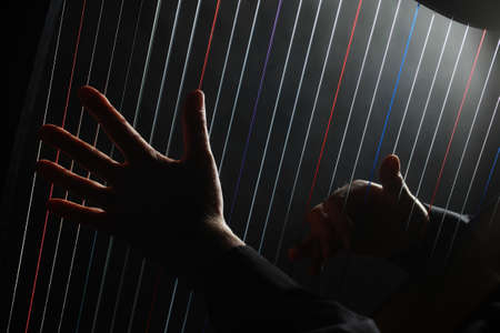 Harp player hands playing musical instrumentsの写真素材