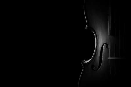 Violin closeup orchestra musical instruments close up isolated on blackの写真素材
