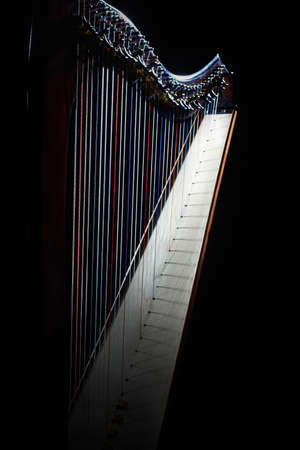 Harp instrument strings closeup. Irish harp musicの写真素材