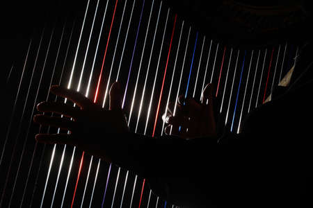 Harp instrument strings closeup. Player hands playing harp musicの写真素材