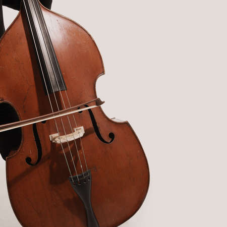 Double bass player Hands playing contrabass musical instrument