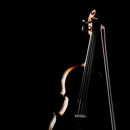 Violin isolated on black. Classical music instruments of orchestra Violin with bowの写真素材