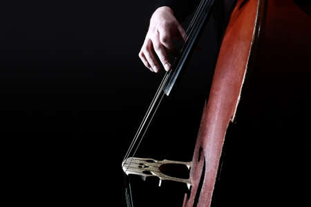 double bass strings. Hands playing contrabass player. String musical instrument.の写真素材