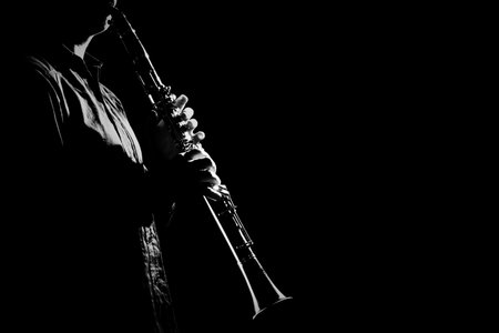 Clarinet player hands. Clarinetist playing woodwind music instrument closeupの写真素材