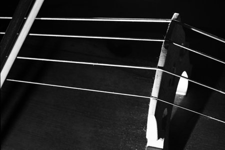 Double bass strings contrabass close up. Cello string musical instrument