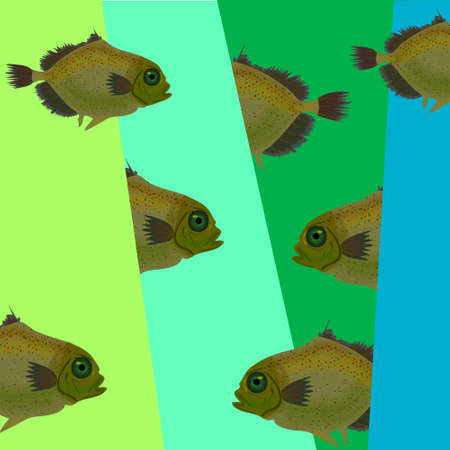 Fish geometric ornaments design.