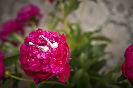 Red big flower and beautiful earrings.の写真素材