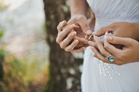 Embraces of hands of the newly-married couple with wedding rings in them.の写真素材