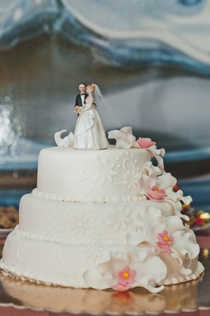 Festive pie.の写真素材