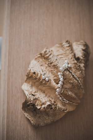 Jewelry on seashellの写真素材