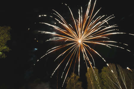 Beautiful fireworks over the forest.の写真素材