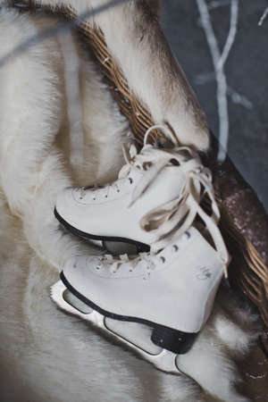 White skates in a sled.の写真素材