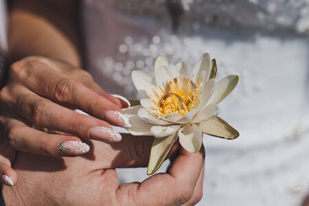 The white water Lily in the hands of the newlyweds.の写真素材