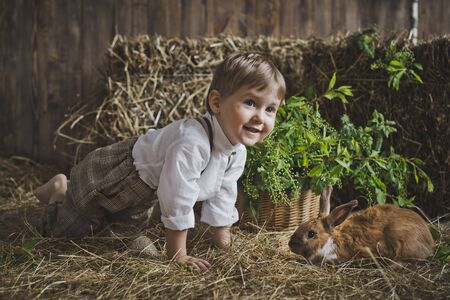 Children and animals are friends.の写真素材