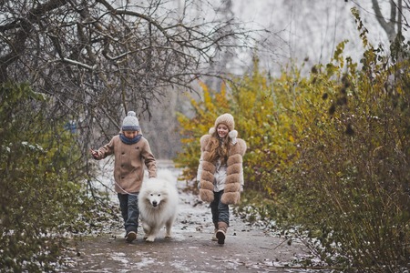 Autumn walk the children in company with the Samoyed dog.の写真素材