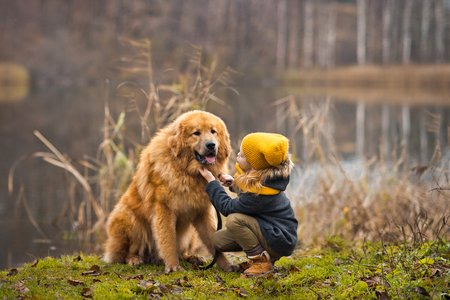 Little lady walking a big shaggy dog.の写真素材