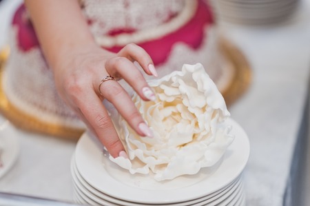 The division into parts of the wedding cake.の写真素材