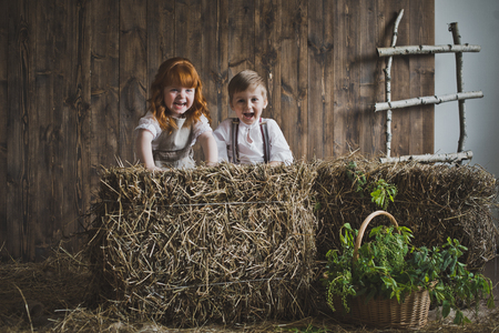 Children play among the bales of hay on the background of wooden walls.の写真素材