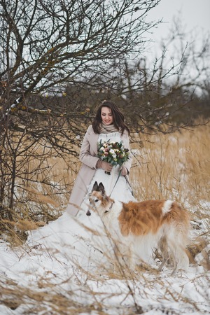 Portrait of a bride on a walk with a dog on a winter field background.の写真素材