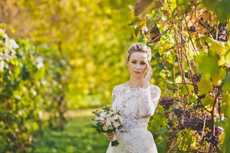 Portrait of a bride in a modern wedding the rich white dress on background of rows of vines.の写真素材