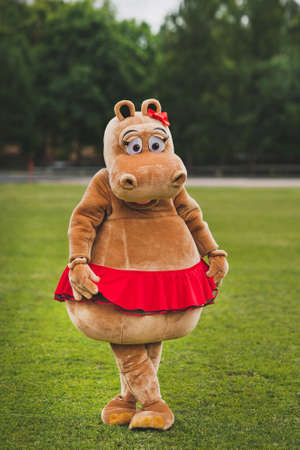 Animator in a Hippo suit on a green field.の写真素材