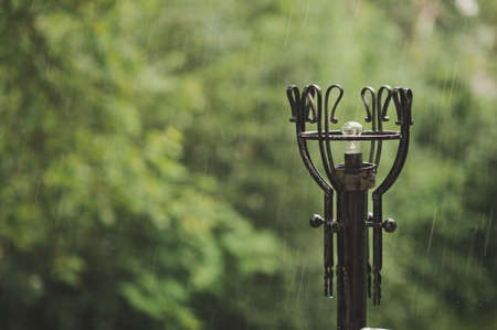 Forged lamppost on the background of the forest.