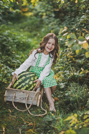 A little girl carries a huge watermelon on a cart.の写真素材