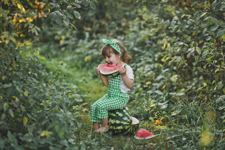 A little girl chooses seeds from a watermelon.の写真素材