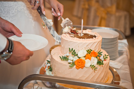 Newlyweds cut a birthday cake.の写真素材