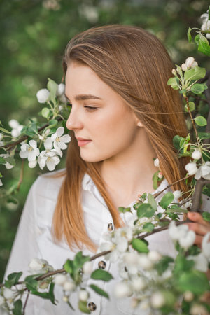 A beautiful girl in a long beige raincoat near a blooming cherry bush.の写真素材
