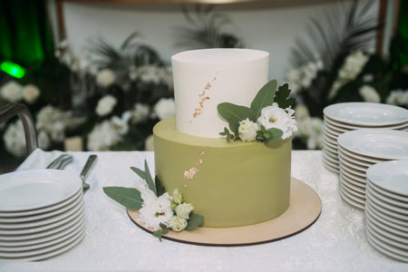 The cake is in two tiers with a greenish color of the decor.