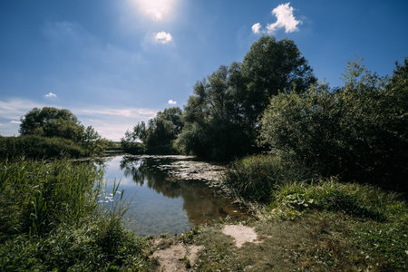 It shows a natural landscape with water, trees, and sunlight.